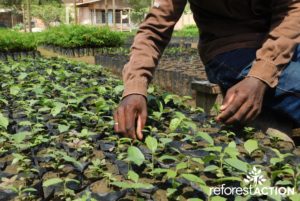Reforest'Action