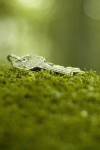La sobriété, clé d’un monde durable