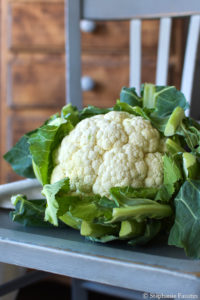 Mon dada : la cuisine des déchets !