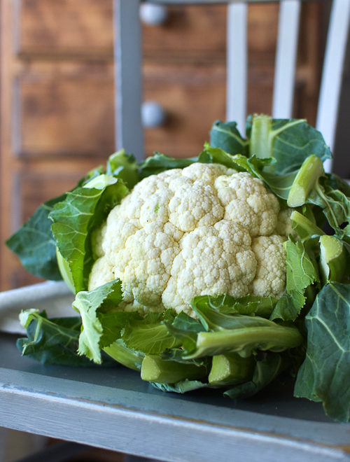 Mon dada : la cuisine des déchets !
