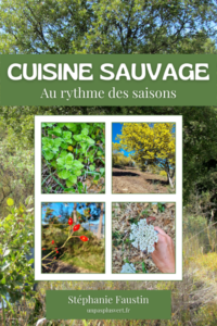 Mon nouvel e-book : Cuisine sauvage au rythme des saisons