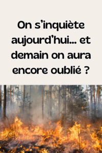 Titre de l'article, plus une photo d'un incendie de forêt