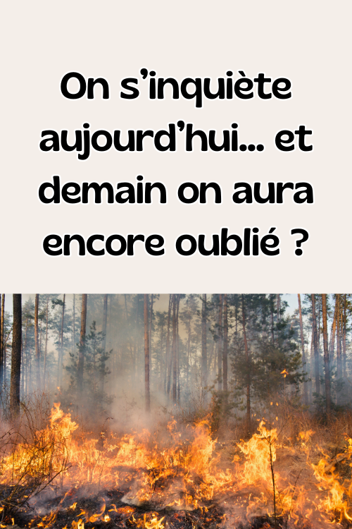 Titre de l'article, plus une photo d'un incendie de forêt