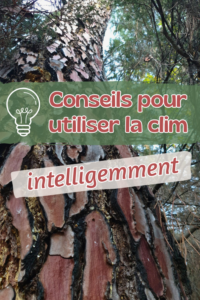 L'image présente un arbre et reprend la phrase-titre